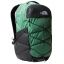 Deep Grass Green/TNF Black